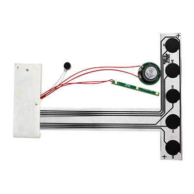 membrane recording sound module